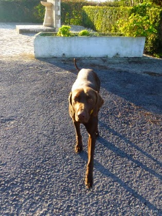 [P1060270%255B4%255D.jpg]