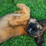 Abi - DSC_0093.jpg
