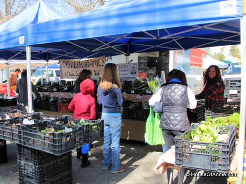 [Heirloom%2520Organics%2520stand%2520at%2520Saratoga%2520Farmer%2527s%2520Market%255B2%255D.jpg]