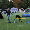 Agility - Turnier 2010 059.jpg