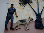 DSC00620.JPG