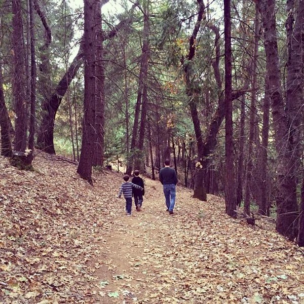 hiking.jpg Hiking