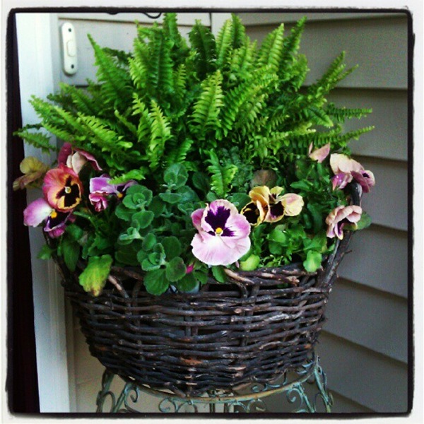 [front-door-flowers5.jpg]