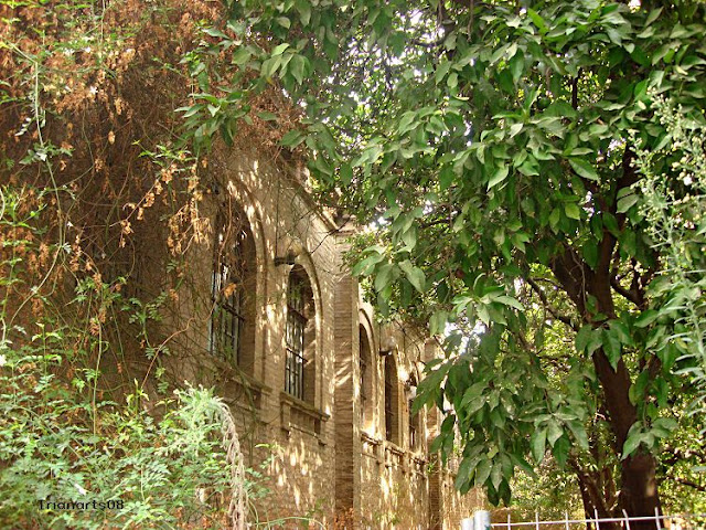 Torre de D. Fadrique y Convento de Santa Clara. Sevilla