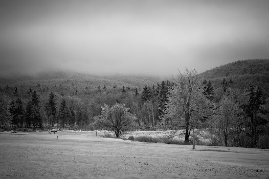 _MG_5229.jpg