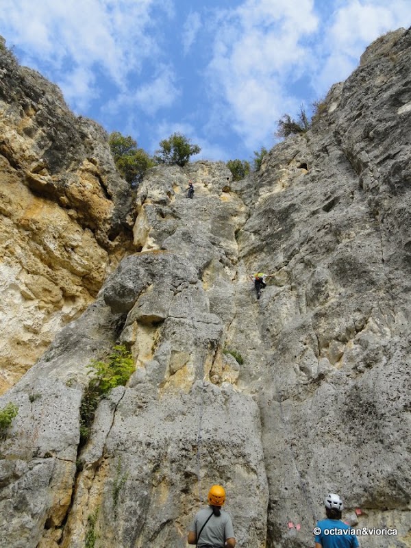 basarbovo-9.jpg