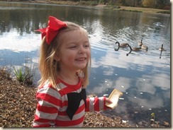 IMG_4220 IMG_4220