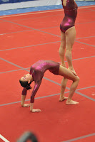 DSC_7663.JPG