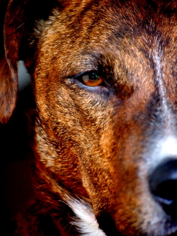 [17%2520June%252015%252013-06-2013%252011-30-51%255B3%255D.jpg]