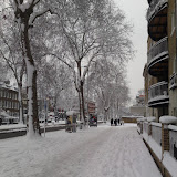 DSC00313.JPG