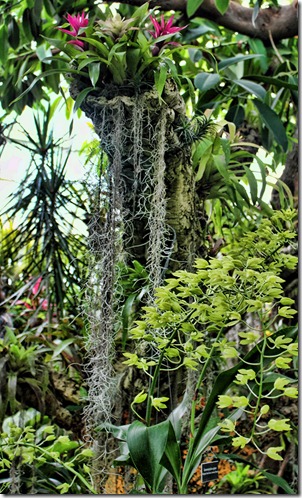 Phipps2 Phipps2