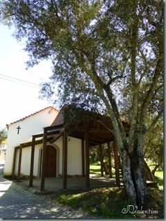 P1020587 P1020587