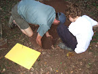 Burried treasure