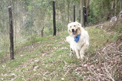 [Trekking%25202%2520%252887_1%2529%2520%252812%2529%255B7%255D.jpg]