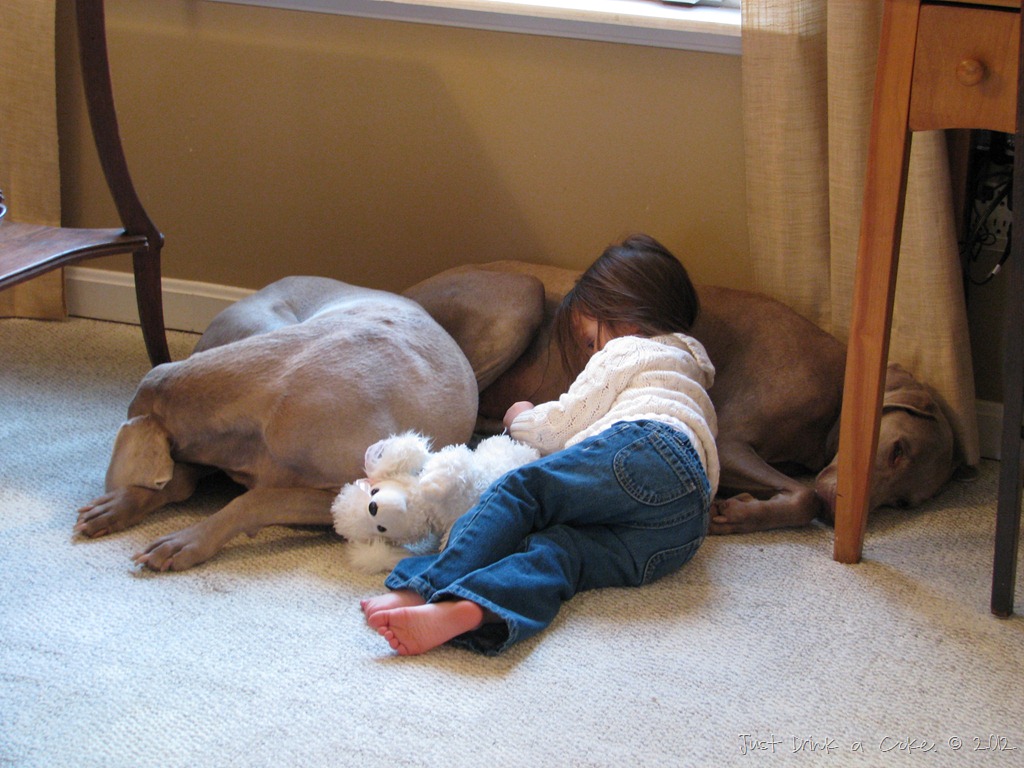 [IMG_0078%255B3%255D.jpg]