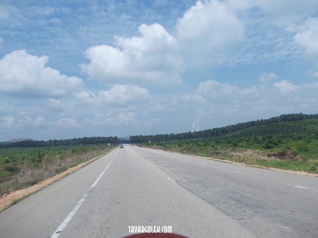 [DSCN12832.jpg]