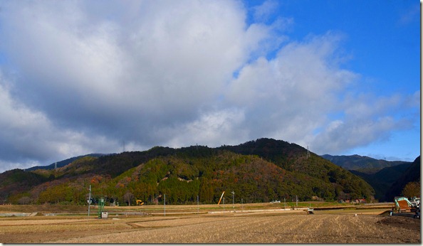 DSC_0223_1_1 DSC_0223_1_1