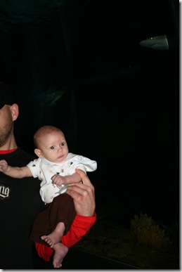 IMG_7519 IMG_7519