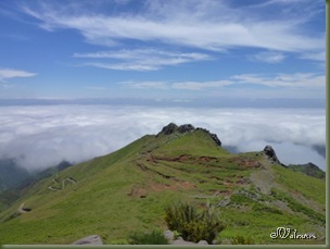 P1080540 P1080540