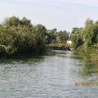 IMG_8049.JPG