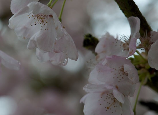 [DSC_4315%255B4%255D.jpg]