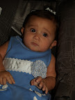 LW041568.JPG