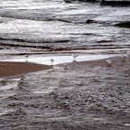20100825_009_small.JPG