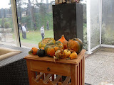 SDC11526 640x480 111009 Herfst  / Adverteerderswedstrijd