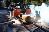 dsc06793.jpg