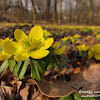 dsc07159.jpg