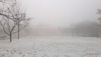 2012-01-23_13-15-18_860.jpg