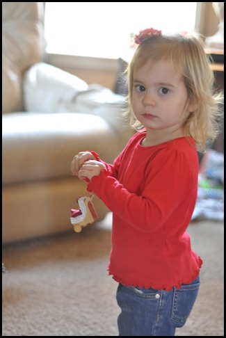 DSC_0126 DSC_0126