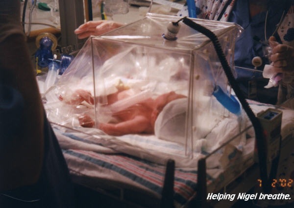 [baby%2520nigel%25202%255B2%255D.jpg]