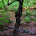 DSC_2751.JPG
