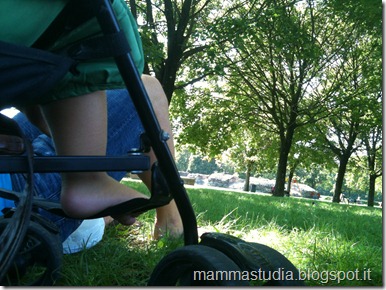 IMG_1097 IMG_1097