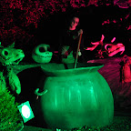 DSC_8494-2.jpg