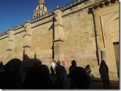 DSCN0873 DSCN0873