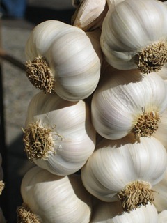 garlic -0