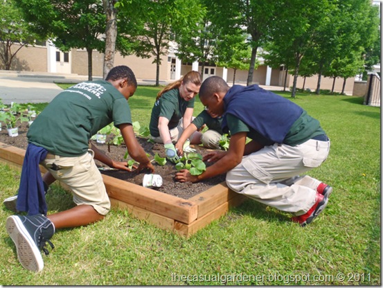 Building gardens