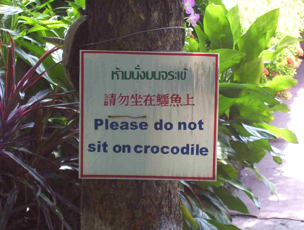 [please.dont.sit.on.crocodile%255B5%255D.jpg]
