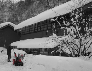DSC04844 DSC04844