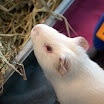 DSC_8979.jpg