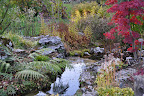 Jardin Botaniques