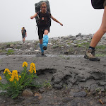0731-1106_P7310645.JPG