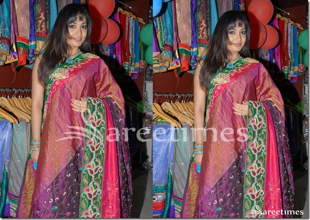 Madhavi_Latha_Saree
