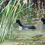 IMG_8070.JPG