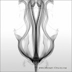#46 - Tulipx<br />
From Smoke works collection<br />
www.Mehmet-Ozgur.com