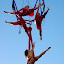 DSC_0337.JPG