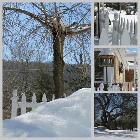 [Collage-snow2.jpg]