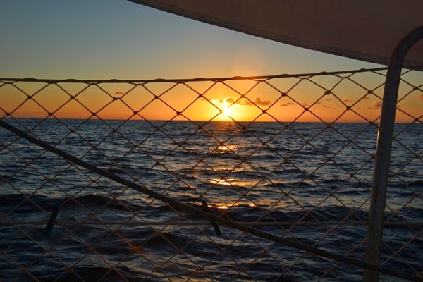 DSC_3724.JPG DSC 3724